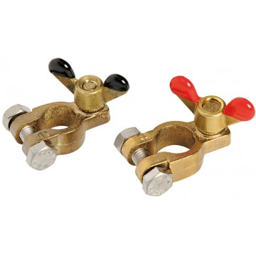 Pair of bronze clips for...